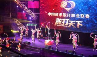 武术比赛几个国家参演